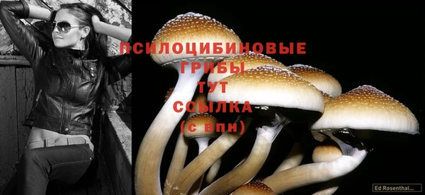 марки lsd Лиски