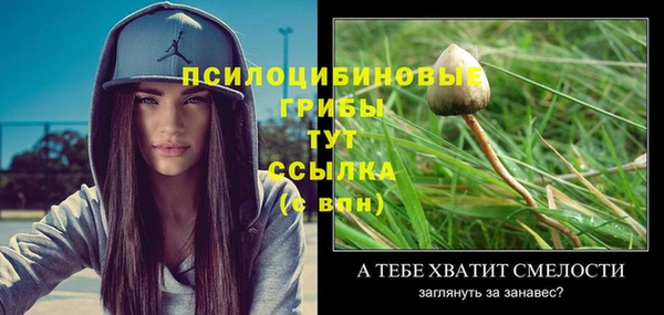 дживик Липки