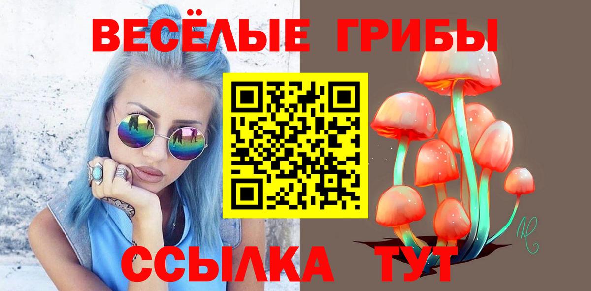 Псилоцибиновые грибы GOLDEN TEACHER Курган