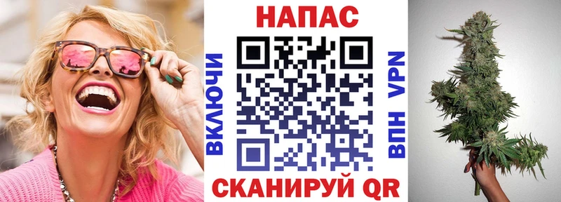 как найти наркотики  Курган  Марихуана сатива 