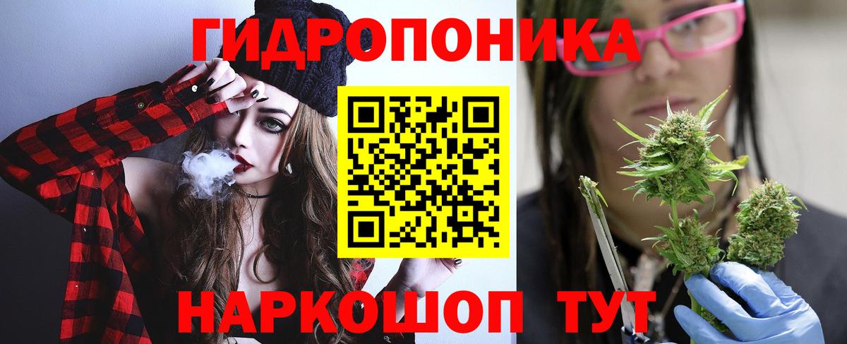 Канабис сатива Курган
