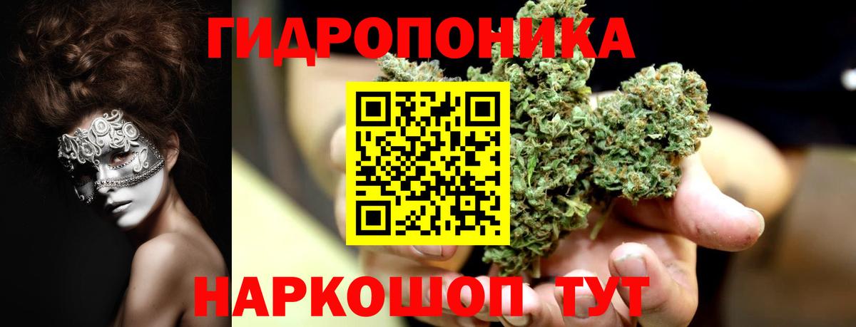 Бошки марихуана тримм  Бошки марихуана White Widow  Вход с VPN  Канабис VHQ  Курган 
